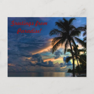 Hälsning från Paradise Vykort