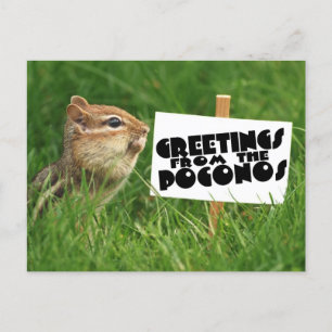 Hälsning från Poconos! Chipmunk med tecken Vykort