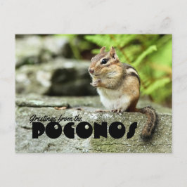 Hälsning från Poconos Mischievous Chipmunk Vykort