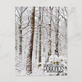 Hälsning från Poconos!Snowy Pocono Woodlands Vykort