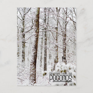 Hälsning från Poconos!Snowy Pocono Woodlands Vykort