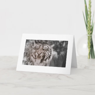 Hälsning från Pridet Sten Kort