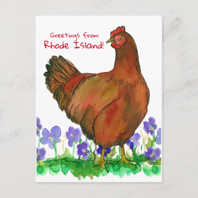 Hälsning från Rhode island Red Hen Violes Vykort (Framsida)