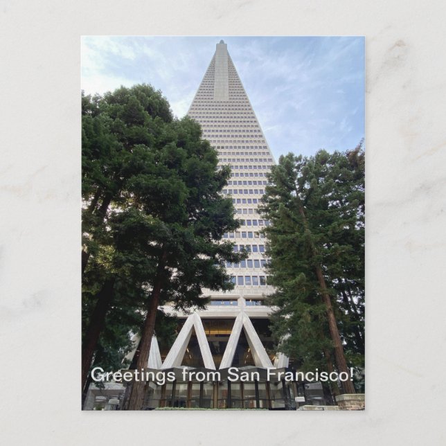 Hälsning från San Francisco Vykort (Framsida)