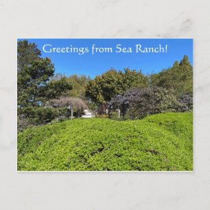 Hälsning från Sea Ranch! Vykort