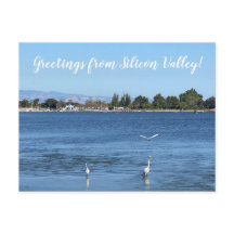 Hälsning från Silicon Valley!