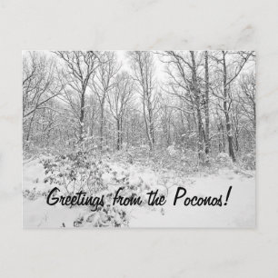 Hälsning från Snowy Poconos Vykort