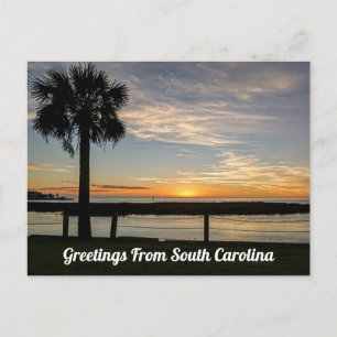 Hälsning från South Carolina Vykort