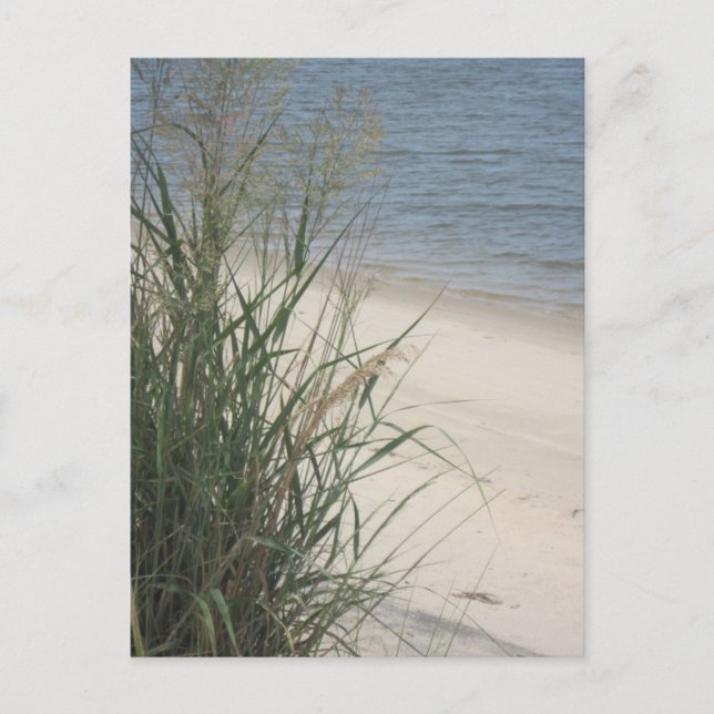 Hälsning från stranden! vykort (Framsida)