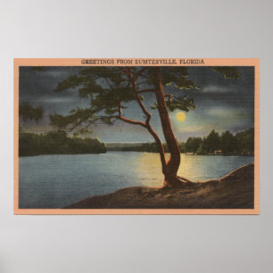 Hälsning från Sumterville, Florida - Måne Poster