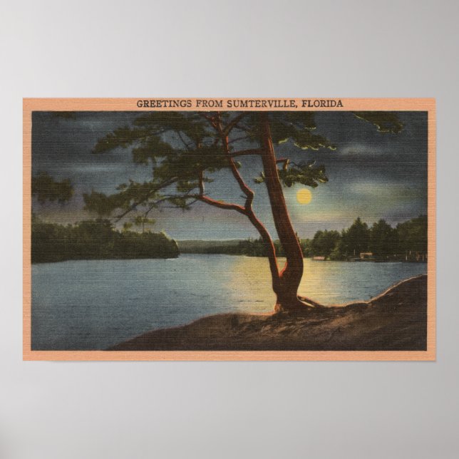 Hälsning från Sumterville, Florida - Måne Poster (Framsidan)