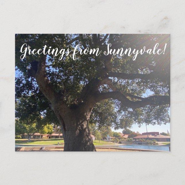 Hälsning från Sunnyvale! Vykort (Framsida)