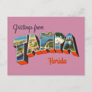 Hälsning från Tampa, Florida Vykort