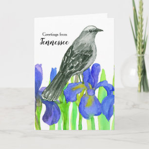 Hälsning från Tennessee Mockingbird Iris Kort