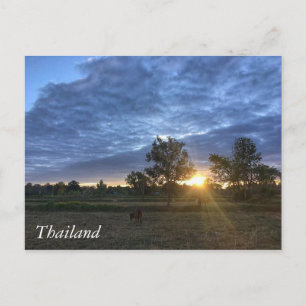 Hälsning från Thailand Vykort