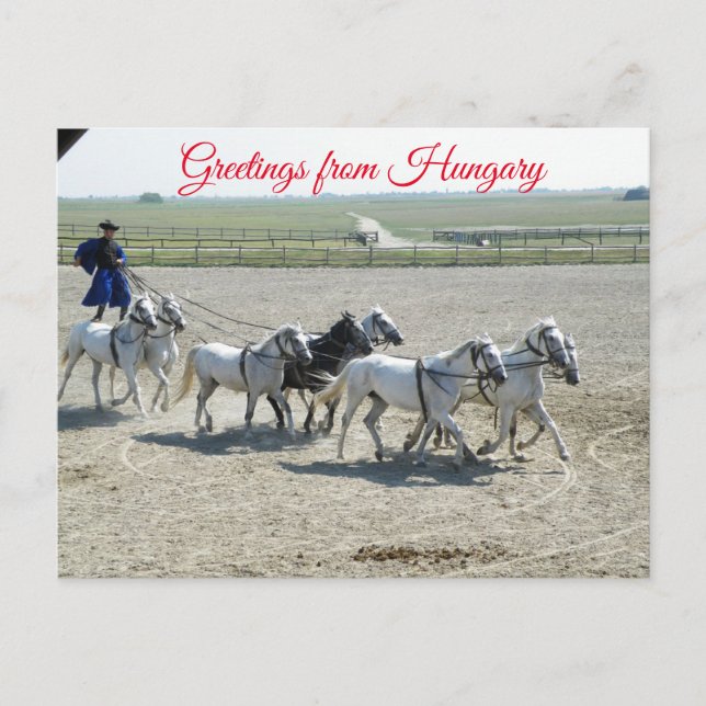 Hälsning från Ungern Vykort (Framsida)