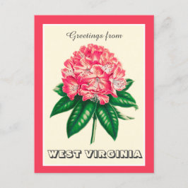 Hälsning från Väster Virginia Rhododendron Vykort