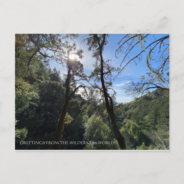 HÄLSNING FRÅN WILDERNESS VÄRLD! VYKORT (Framsida)