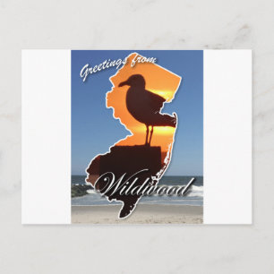 Hälsning från Wildwood Vykort