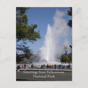 Hälsning från Yellowstone National Park Postcard Vykort