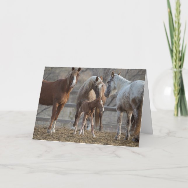 Hälsning: Galloping to Freedom Greeting Card Kort (Framsida)