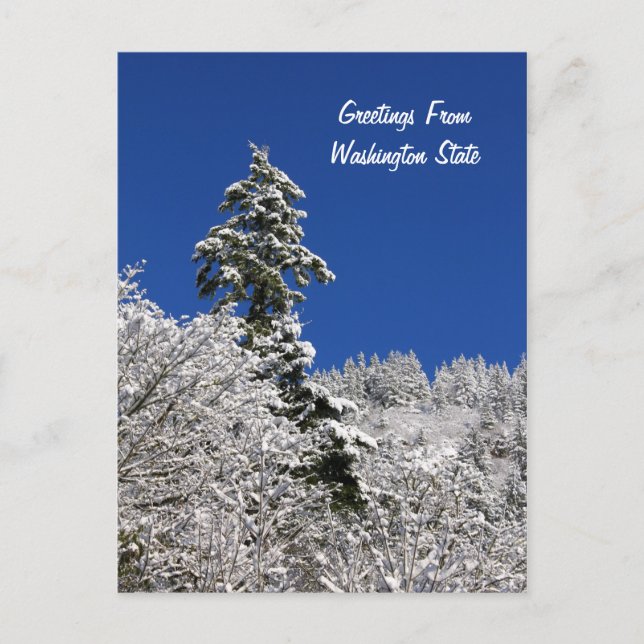 Hälsning i snö, skyddat från Washington Vykort (Framsida)