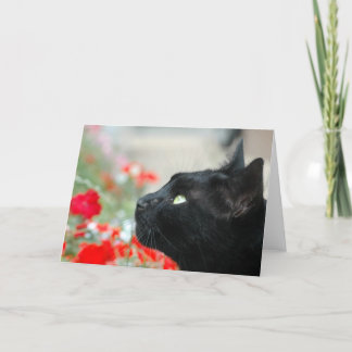 Hälsning-kort - bevakning kort