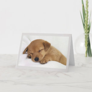 Hälsning-kort - Cute Puppy Kort