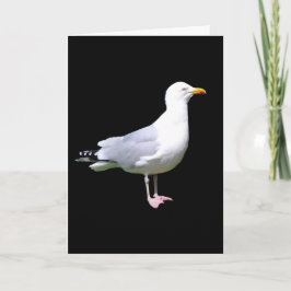 Hälsning-kort för Lägg till text i fiskmås Kort