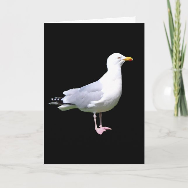 Hälsning-kort för Lägg till text i fiskmås Kort (Framsida)