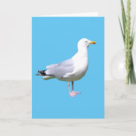 Hälsning-kort för Lägg till text i fiskmås Kort