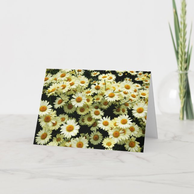 hälsning-kort för tomma daisy kort (Framsida)