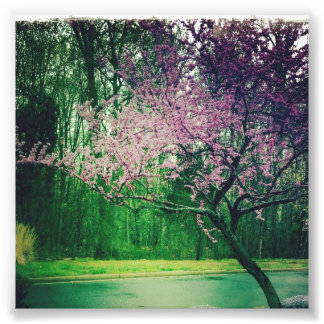 hälsning-kort fototryck