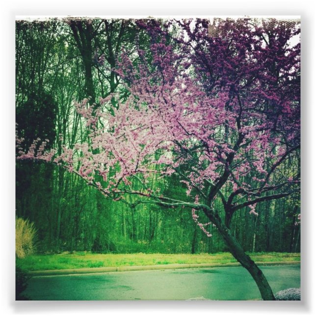 hälsning-kort fototryck (Framsidan)