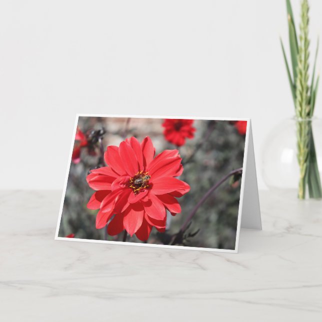 Hälsning-kort med ett bin på en röd blomma kort (Framsida)