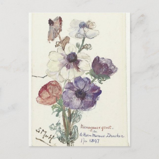 Hälsning med Anemones från Houten Vykort (Framsida)
