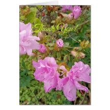 Hälsning med lavendelblommor på azalea. Tack