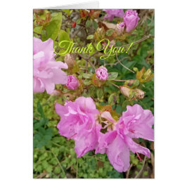 Hälsning med lavendelblommor på azalea. Tack Hälsningskort