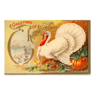 Hälsningar av thanksgivingvitTurkiet vintage Fototryck