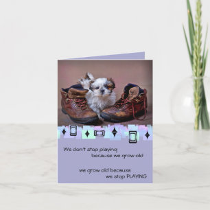 Hälsningar för Shih Tzu valpfödelsedag Kort