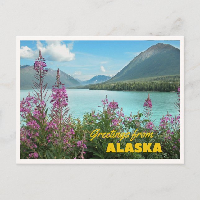 Hälsningar från Alaska Sommar Kryssning Retro Häls Vykort (Framsida)