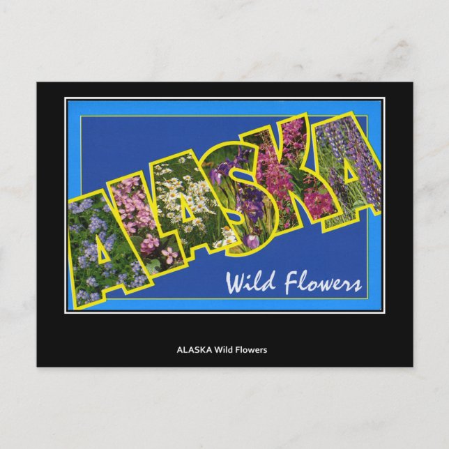 Hälsningar från Alaska Vintage vykort (Framsida)