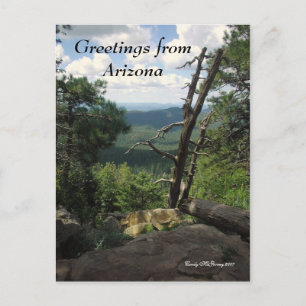Hälsningar från Arizona Vykort