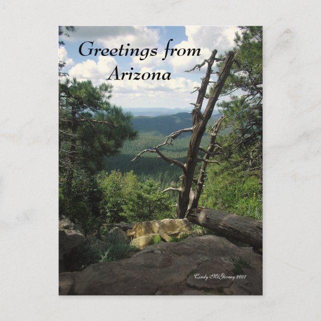 Hälsningar från Arizona Vykort (Framsida)