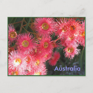 Hälsningar från Australien Vykort