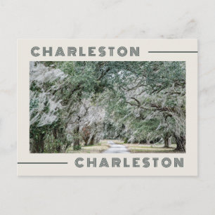 Hälsningar från Charleston South Carolina vykort