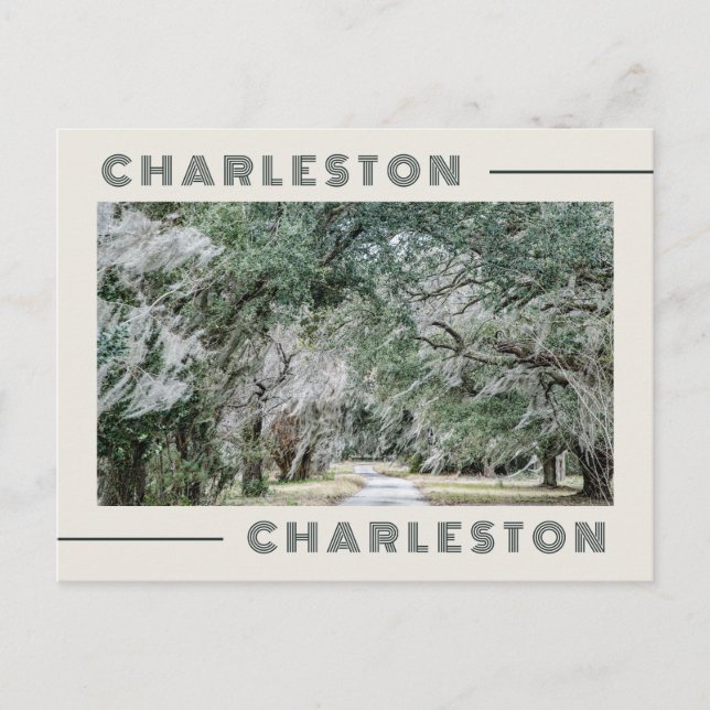 Hälsningar från Charleston South Carolina vykort (Framsida)