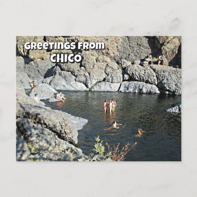 Hälsningar från Chico (du kan ändra orden) Vykort (Framsida)