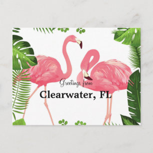 Hälsningar från Clearwater, FL Vykort