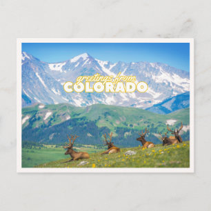 Hälsningar från Colorado Mountain Scene Foto Vykort